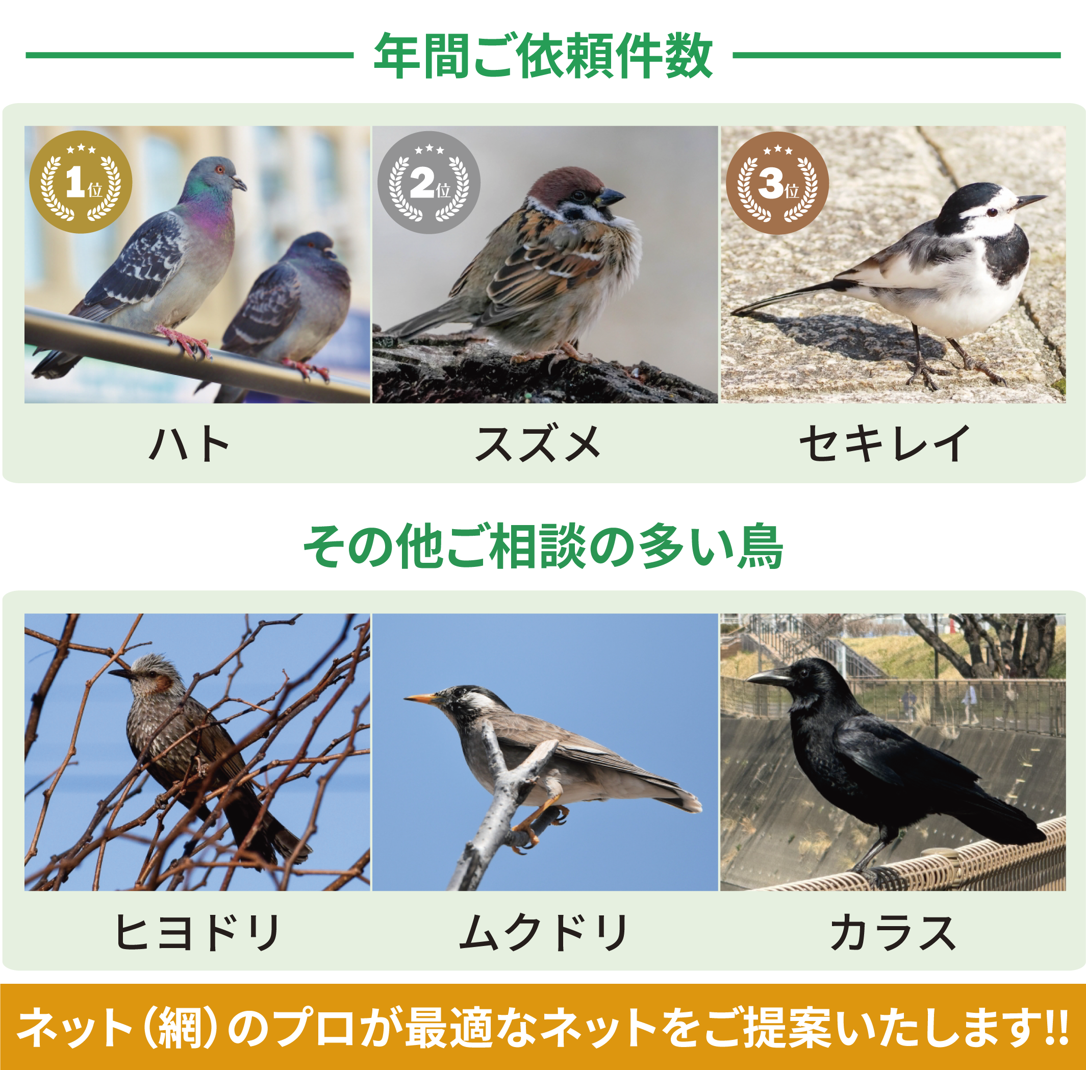 鳥によるネット目合いの選定